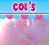 Link to Cols Bouncy Castles web page
