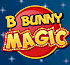 Link to www.bbunnymagic.com