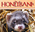Link to www.honeybank.co.uk/ferret-racing/flat-caps-a-ferrets