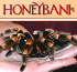 Link to www.honeybank.co.uk