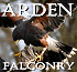 Link to www.ardenfalconry.co.uk
