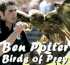 Link to www.birdsofpreydisplays.co.uk