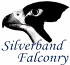 Link to www.silverbandfalconry.co.uk