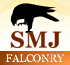 Link to www.smjfalconry.co.uk