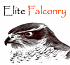 Link to www.elitefalconry.com