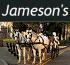 Link to www.jamesonsweddingcarriages.co.uk