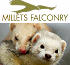 Link to www.milletsfarmfalconry.co.uk