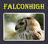 Link to www.falconhigh.co.uk