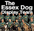 Link to www.essexdogdisplayteam.org