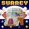 Link to www.surrey-ices.co.uk