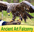 Link to www.ancientartfalconry.co.uk