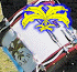 Link to www.dolphinmarchingband.org.uk
