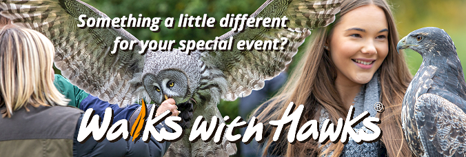 Walks with Hawks - Truly Magical Owl Encounter