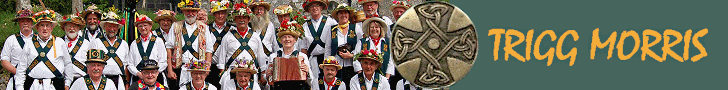 Trigg Morris - Let Us Dance a Jig at Your Event