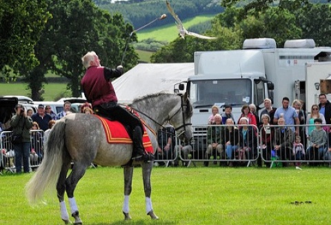 Black Mountains Falconry in Wales Ltd