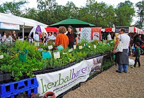 Link to the Herbal Haven website