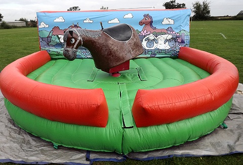 Link to the R & R Entertainment Inflatables website