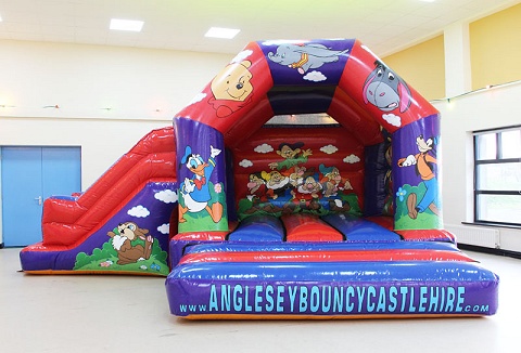 Link to the Anglesey Bouncy Castle Hire website