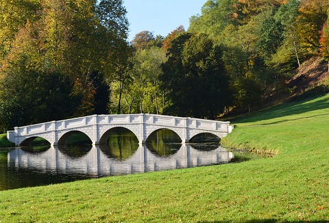 Link to the Painshill Park website