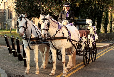 Jameson's Wedding Carriage Hire