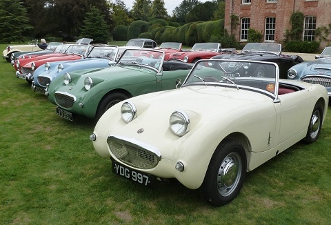 Link to the Austin Healey Club website