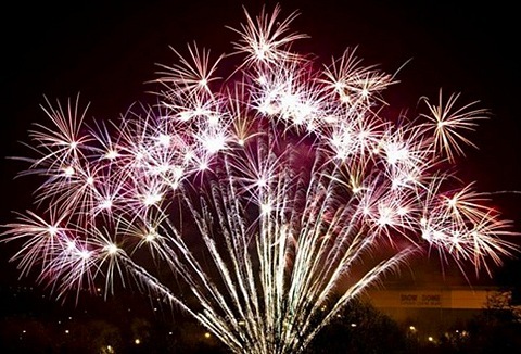 Link to the The Fireworks Firm website