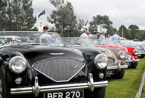 Link to the Austin Healey Club website