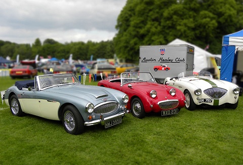 Link to the Austin Healey Club website