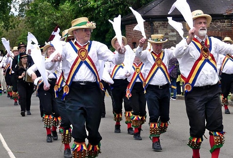 Link to the Mendip Morris website