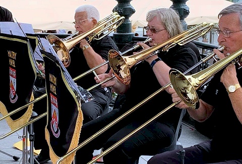 Link to the Maltby Miners Welfare Band website