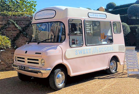 Link to the Sweet Ally Scoops website