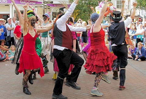 Link to the Ouse Washes Molly Dancers website