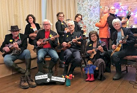Link to the The Ukes of Wellington website