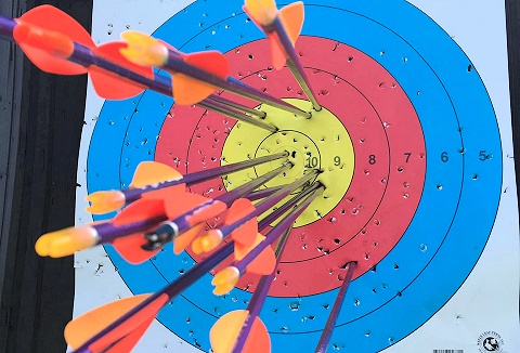 Link to the Apollo Activities website