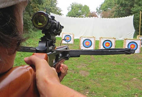 Link to the Insight Activities website Link to the Insight Activities website