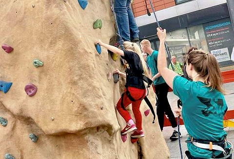 Link to the Sunderland Wall website