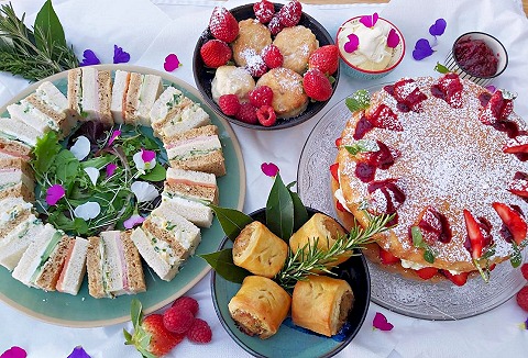 Link to the Prickly Pear website Link to the Prickly Pear website