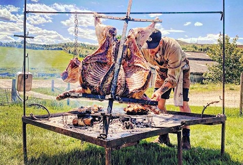 Link to the Alba website