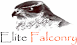 Link to the Elite Falconry website