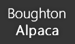 Boughton Alpaca