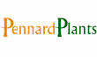 Link to the Pennard Plants website