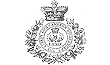 Link to the The 79th Cameron Highlanders website
