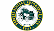 Link to the Borders Vintage Automobile Club Ltd website