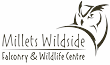 Link to the Millets Wildside Falconry & Wildlife Centre website