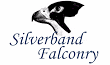 Link to the Silverband Falconry website