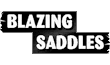 Link to the Blazing Saddles website