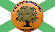 Link to the Woodside Morris Men website
