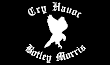 Link to the Cry Havoc Botley Morris website