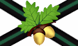 Link to the Acorn Morris website