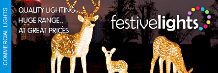 Link to Festive Lights Ltd - Commercial Festive Lighting